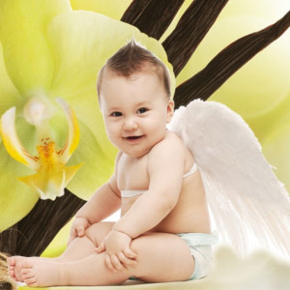 The-Perfect-Scent Other - Angel Wings Hand Poured Soy (6.5oz) Candle